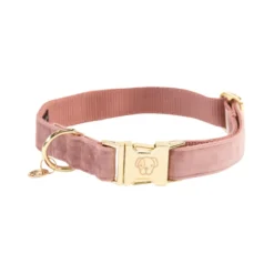 Kentucky Dogwear Velvet Hondenhalsband
