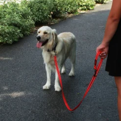 KONG Adjustable Leash - Zwart