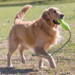 KONG Air Fetch Stick