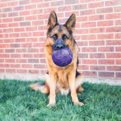 KONG Flexball