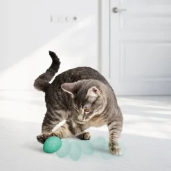 KONG Infused Ei Met Catnip
