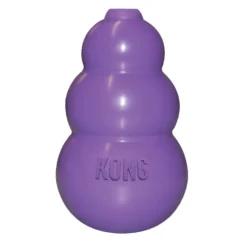 KONG Kat - Kitty KONG