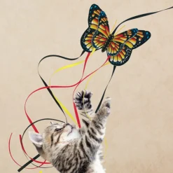 KONG Kattenhengel Vlinder