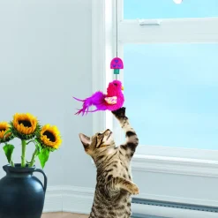 KONG Kat - Window Teaser