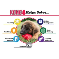 KONG Puppy