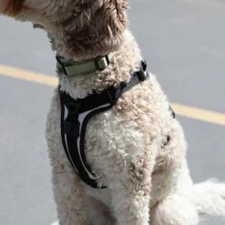 K9 Sport Sack Harness