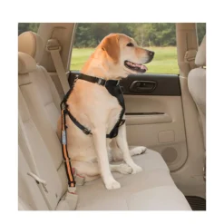 Kurgo Direct To Seat Belt Tether