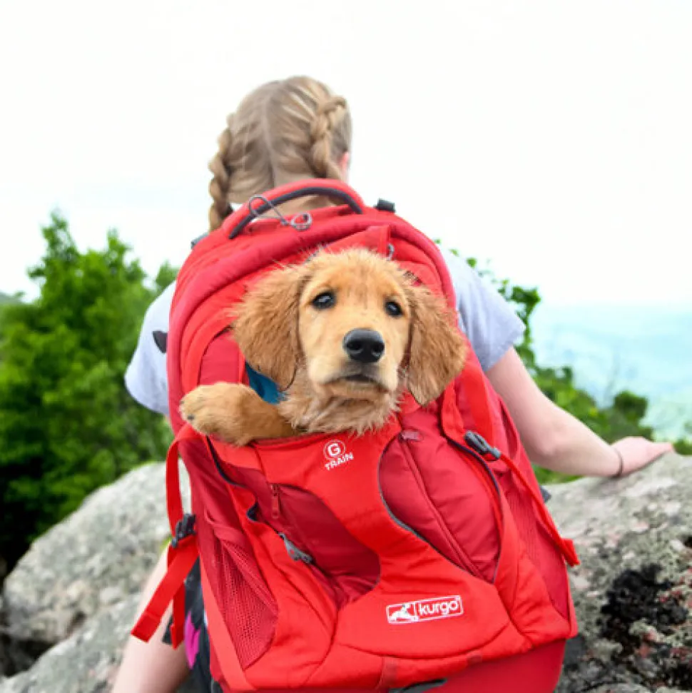 Kurgo G-Train Pack