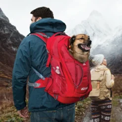 Kurgo G-Train Pack