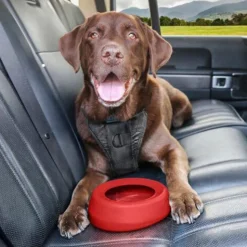 Kurgo Splash Free Wander Water Bowl