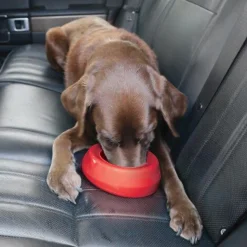 Kurgo Splash Free Wander Water Bowl