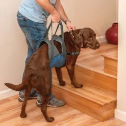 Kurgo Up & About Lifter