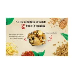 Lafeber Classic Nutri-Berries Cockatiel