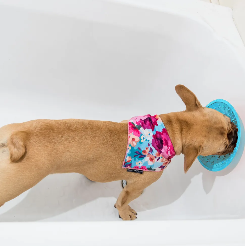 LickiMat Splash