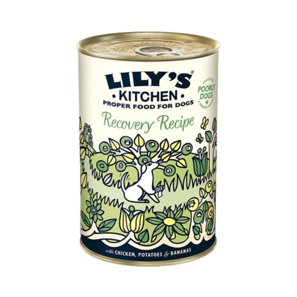 Lily's Kitchen Hondenvoer - Blik