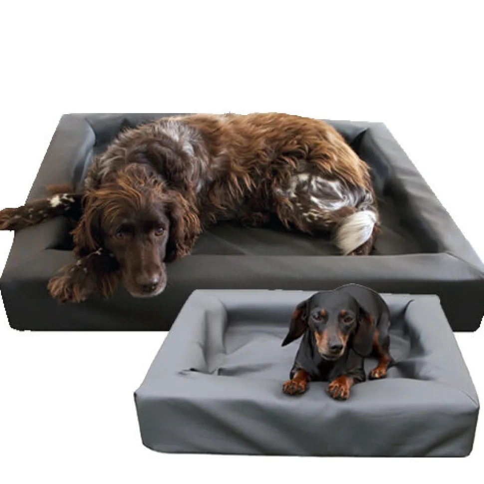 Lounge Dogbed