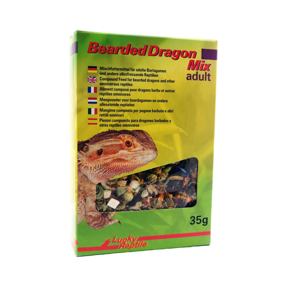 Lucky Reptile Bearded Dragon Mix Adult
