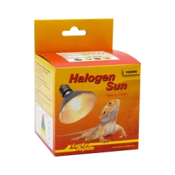 Lucky Reptile Halogen Sun
