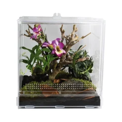 Lucky Reptile LifeTarrium