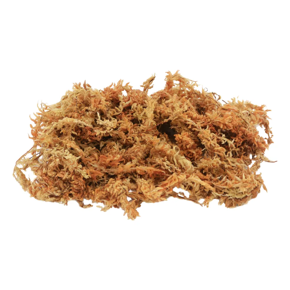 Lucky Reptile Sphagnum Moss