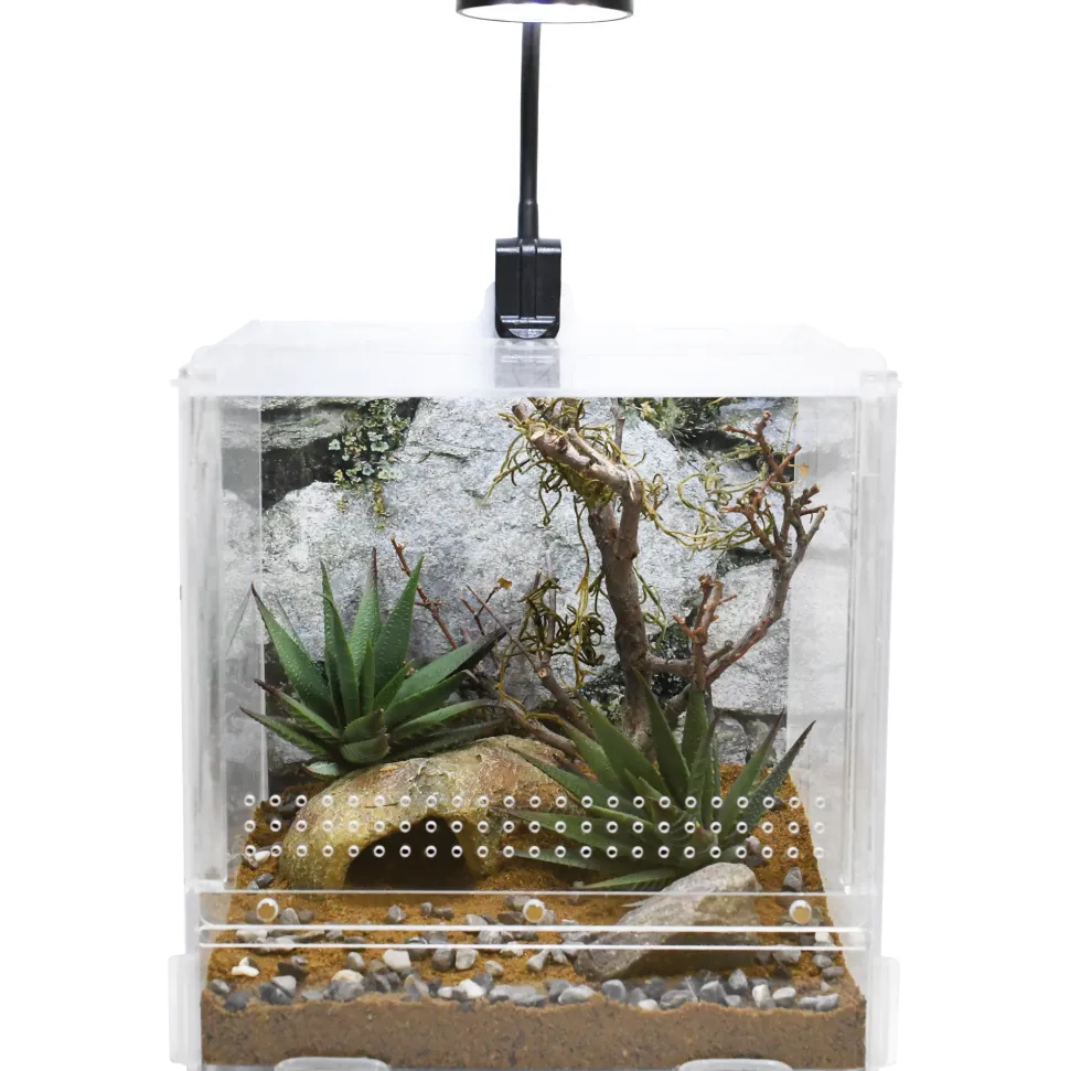 Lucky Reptile USB Mini LED Lamp