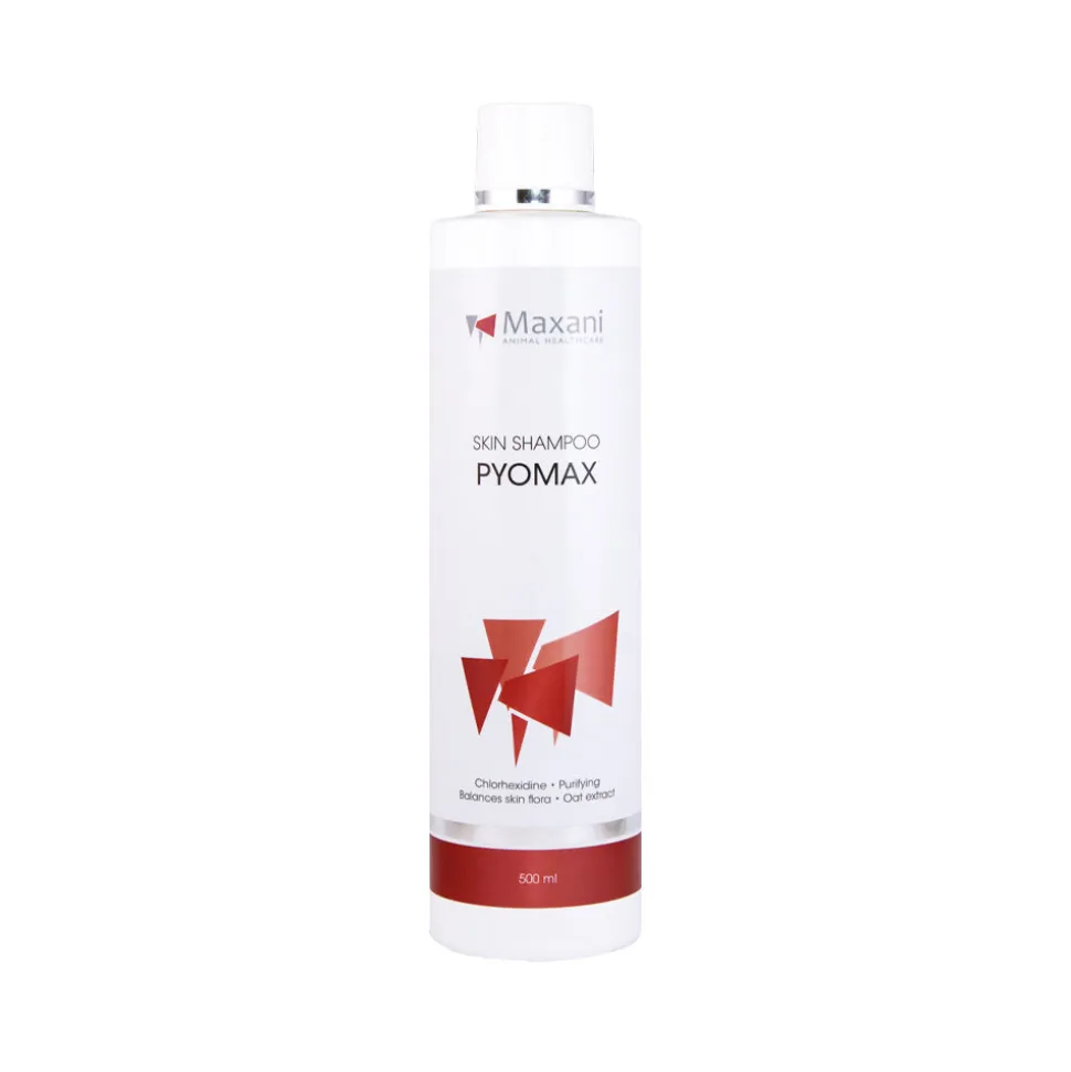Maxani PyoMax Skin Shampoo