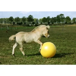 Maximus Power Play Ball