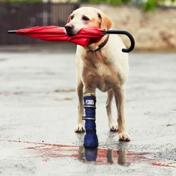 Medical Pet Shirt Boot