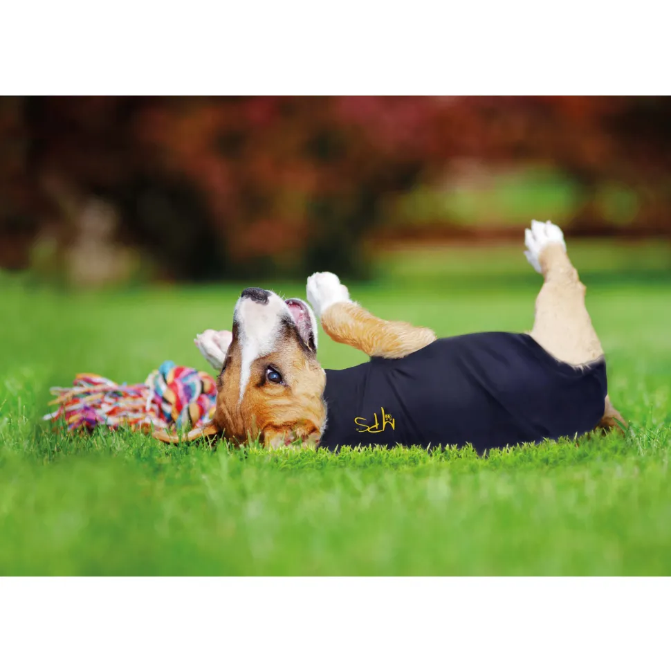 Medical Pet Shirt Hond