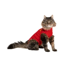 Medical Pet Shirt kat