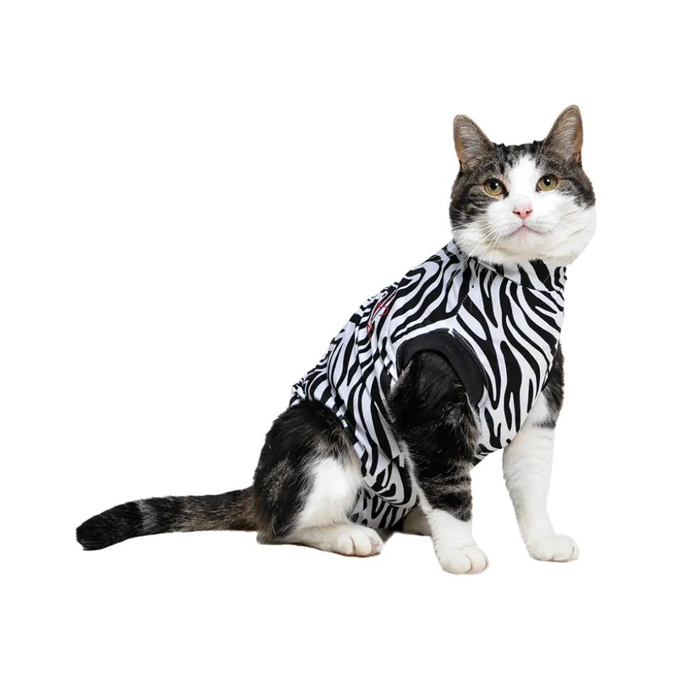 Medical Pet Shirt Kat Zebra
