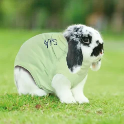Medical Pet Shirt Konijn