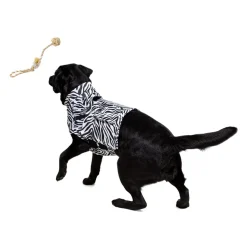 Medical Pet Top Shirt - Zebraprint