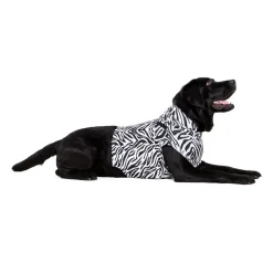 Medical Pet Top Shirt - Zebraprint