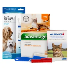 Medpets Kittenpakket - 2 tot 4 kg