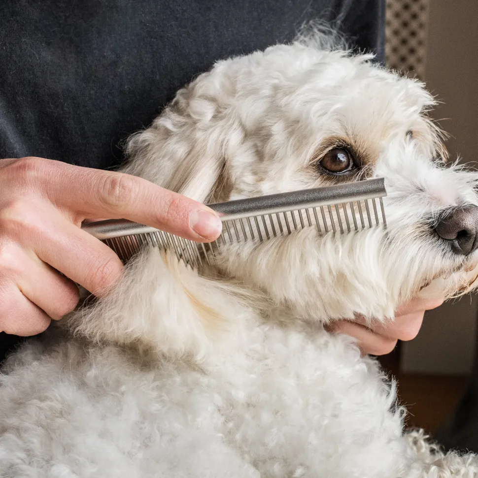 Mikki Doodle Comb
