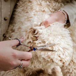 Mikki Doodle Face & Paw Scissor