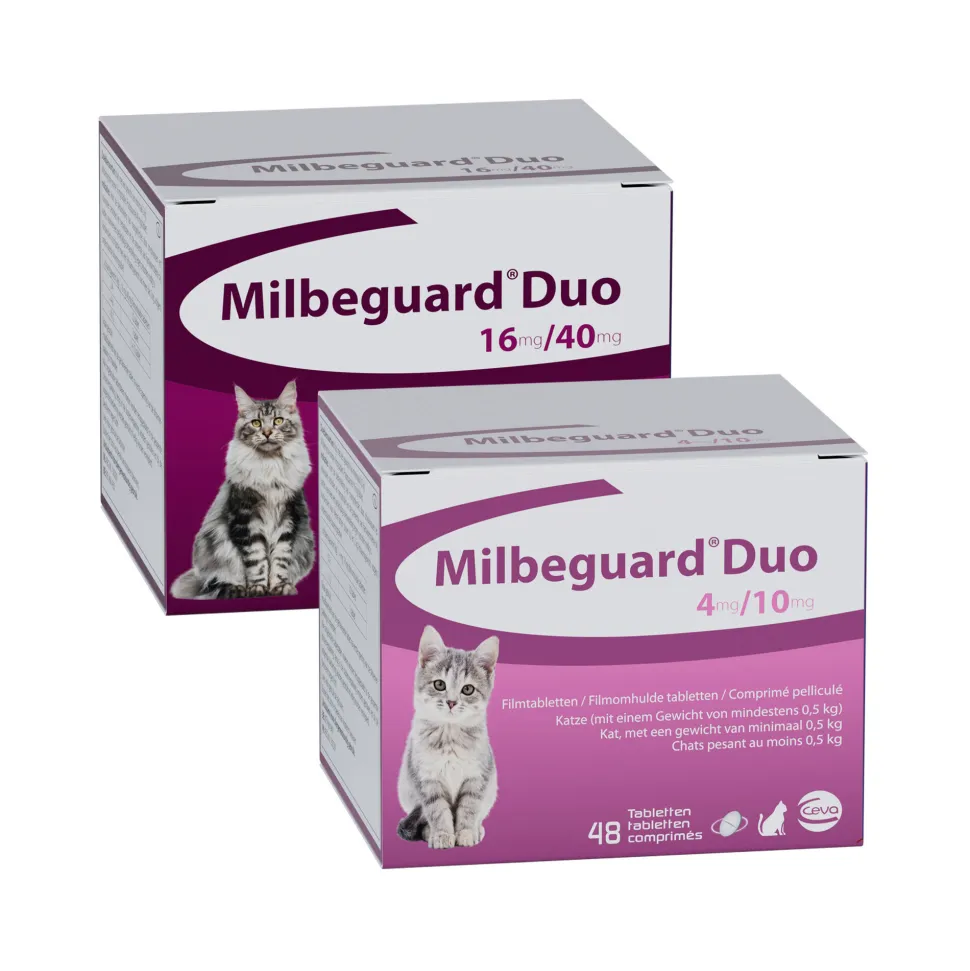 Milbeguard Duo Kat