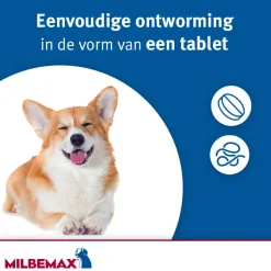 Milbemax Hond