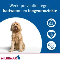Milbemax Hond