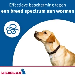 Milbemax Hond