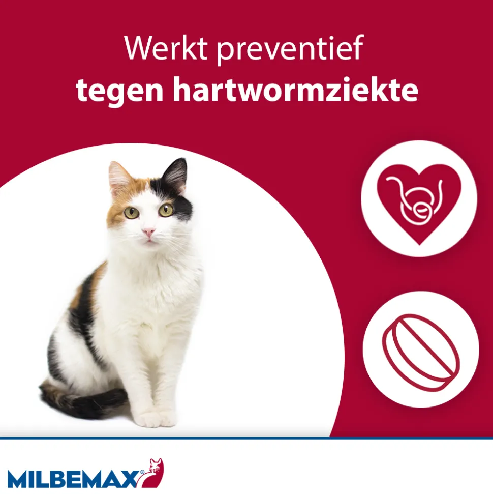 Milbemax Kat