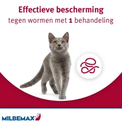 Milbemax Kat