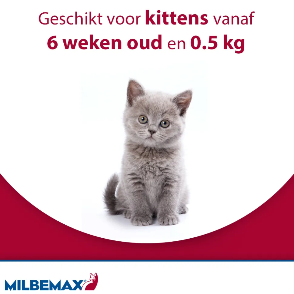 Milbemax Kat