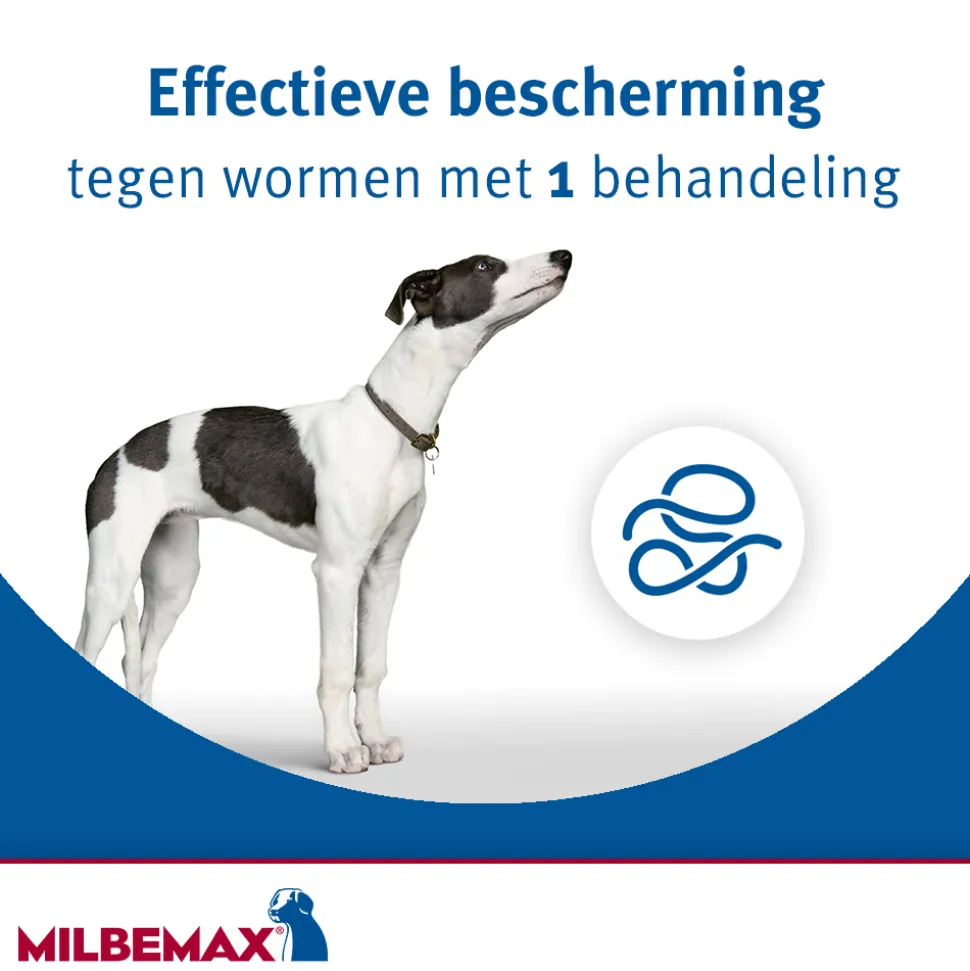Milbemax Kauwtabletten