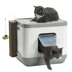 Moderna Cat Concept