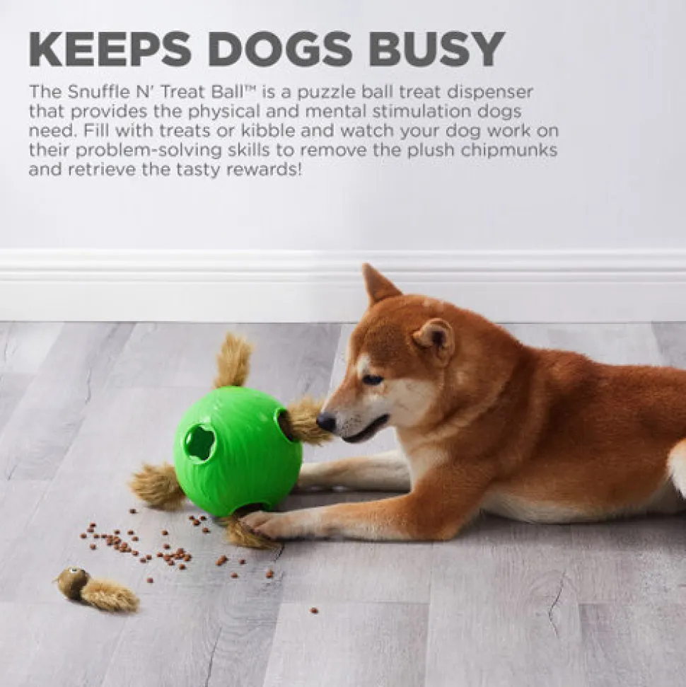 Nina Ottosson Dog Snuffle N' Treat Ball
