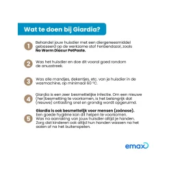 No Worm Diacur Giardiatest