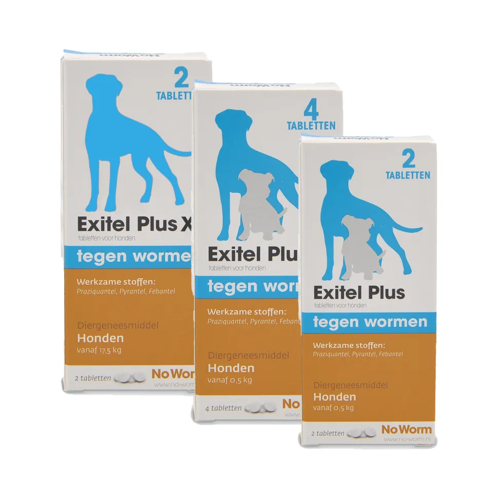 No Worm Exitel Plus Hond