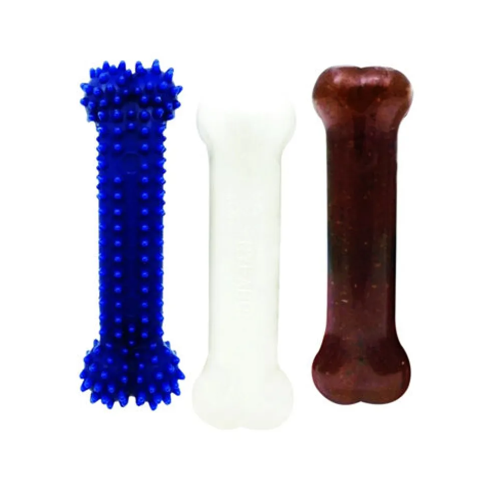 Nylabone Puppy Starter Kit